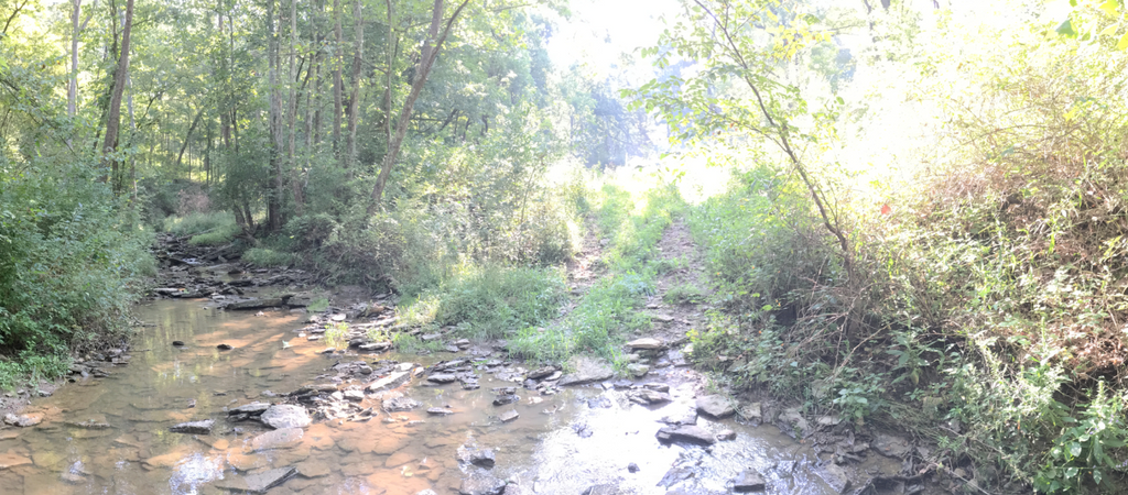 Creek at Beneker Family Farms