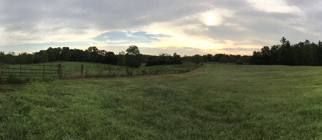 Rolling meadow with fence at Beneker Family Farms