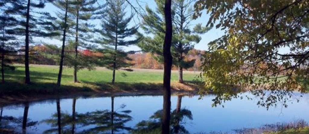 Pond at Beneker Family Farms