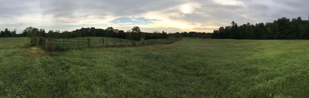 Beneker Family Farms Meadow